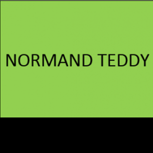 M NORMAND TEDDY