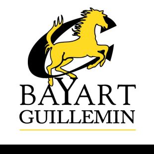 IMPRIMERIE BAYART-GUILLEMIN